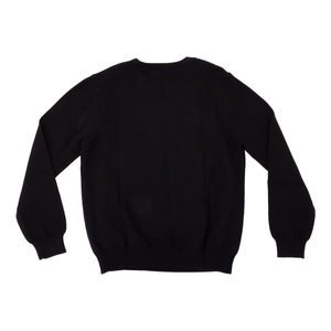 Critical Role Falcon’s Banner Knit Sweater